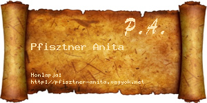 Pfisztner Anita névjegykártya